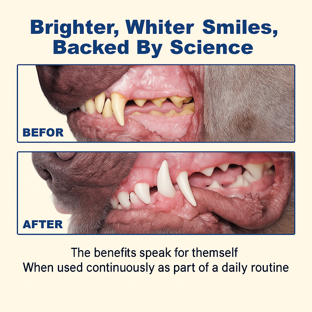 Natural Dog Teeth Powder